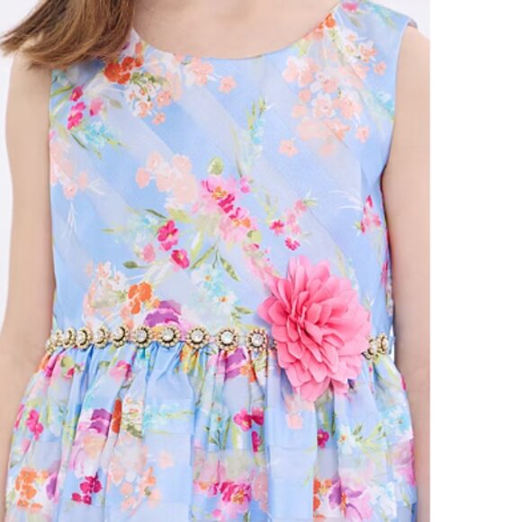 BNWT Bonnie Jean Big Girls Sleeveless Fit + Flare Premium Dress (16) - Picture 4 of 10